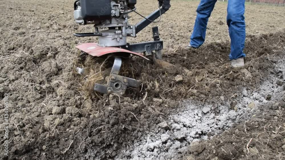 Planting potatoes under the walk-behind tractor. Man with motor-block in the garden. Planting potatoes under the walk-behind tractor. Man with motor-block in the garden.