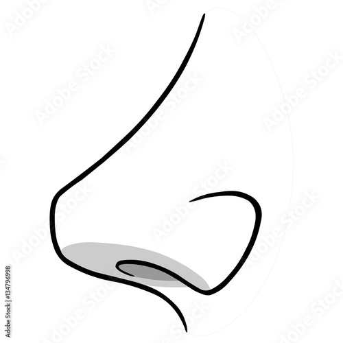 Nose Side View Illustration