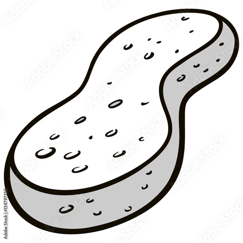 Sponge Illustration