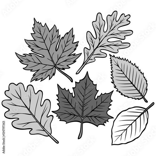 Spring Leaf Collection Illustration © Larry Rains