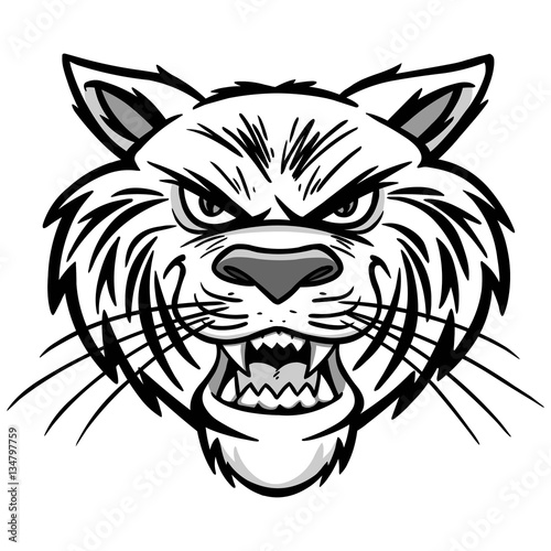 Wildcat Illustration