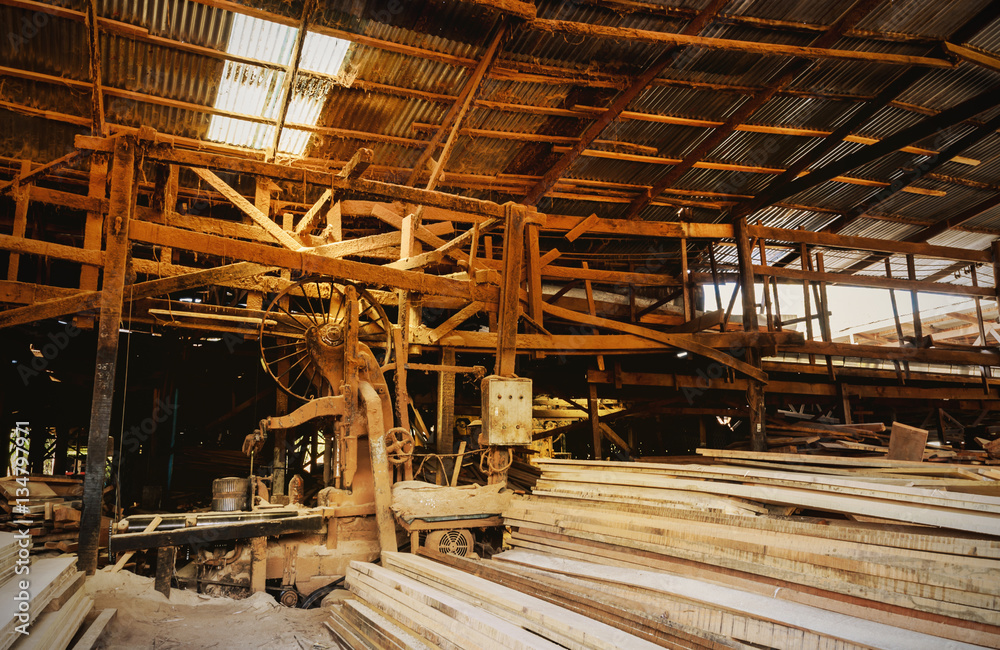 sawmill wood processing timber drying timber harvesting drying