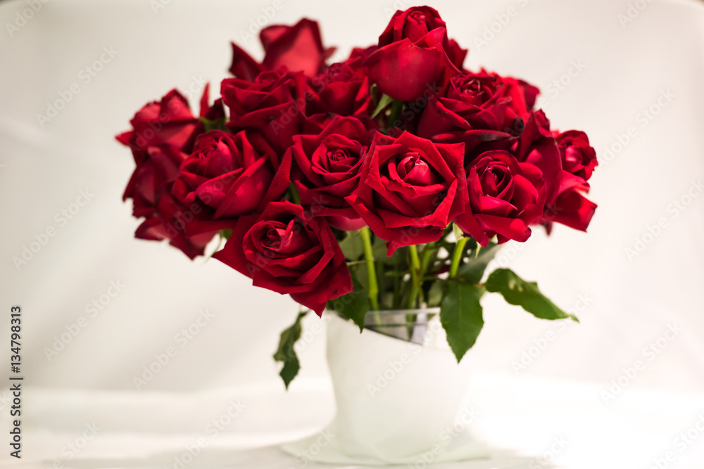valentine roses