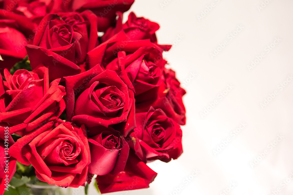 valentine roses valentine roses
