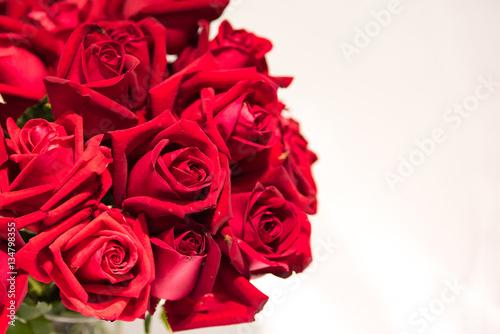 valentine roses
