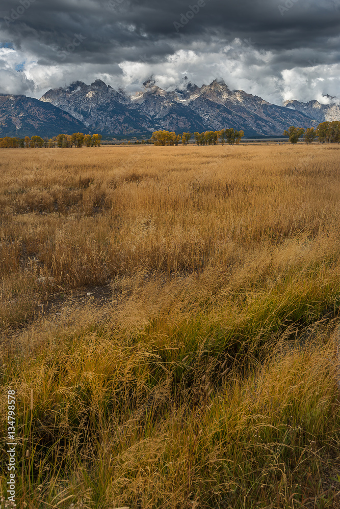 Landscape of Grand Teton National Park