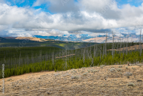 Landscape of Yellowstone National Park