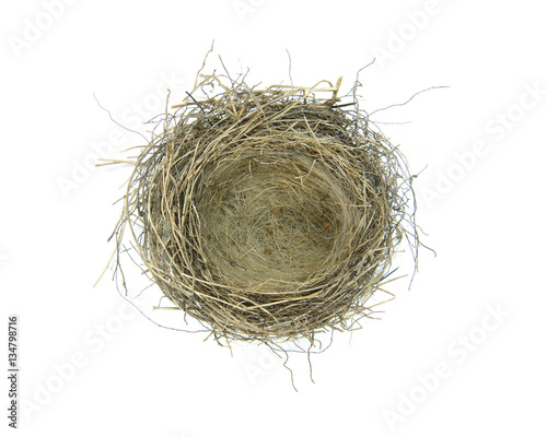 Empty birds nest