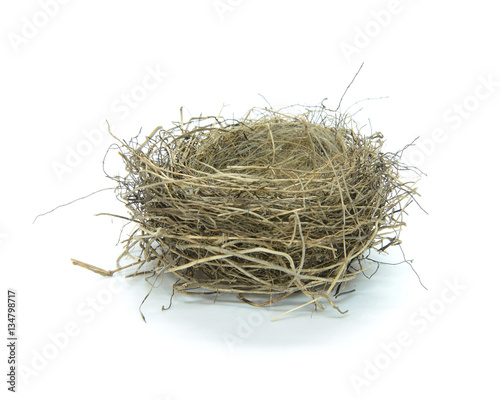 Empty birds nest