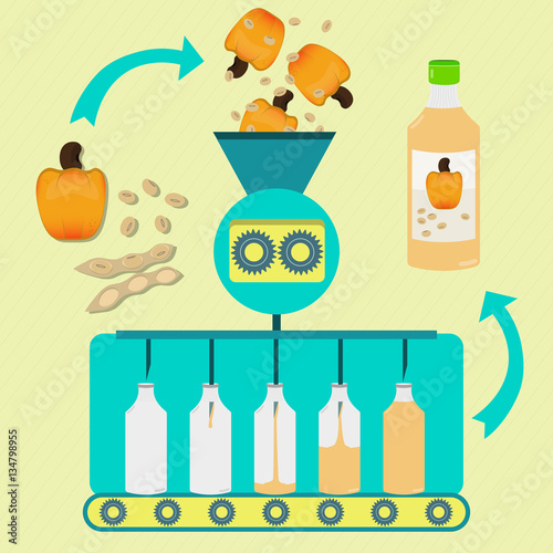 Cashew and soy juice series production. Fresh cashew and soybean pod with soy being processed. Bottled cashew and soy juice.