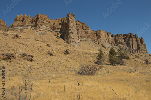 Palisades Formation