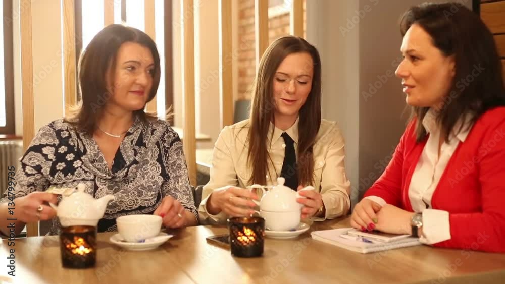 Businesswomen talking in the cafe
