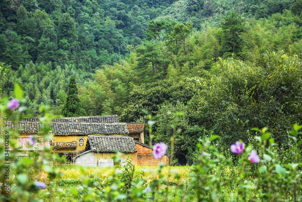 Beautiful countryside scenery in autumn Beautiful countryside scenery in autumn