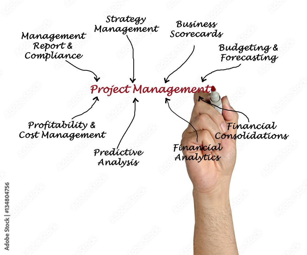 Obraz premium Project Management