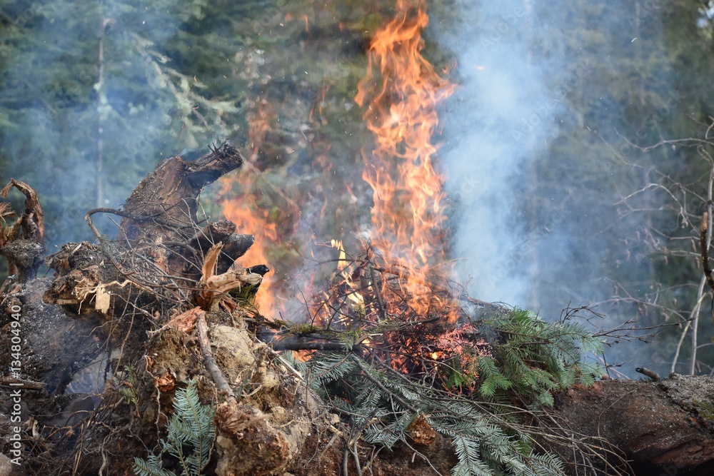 Burning brush pile in winter on property