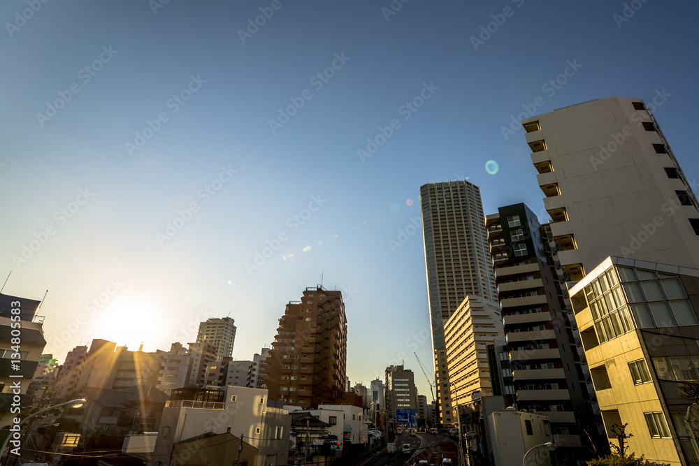 Obraz premium 東京の空