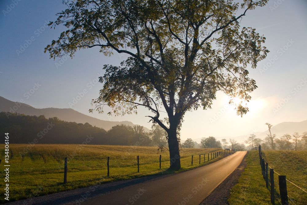 Fototapeta premium Country Roads