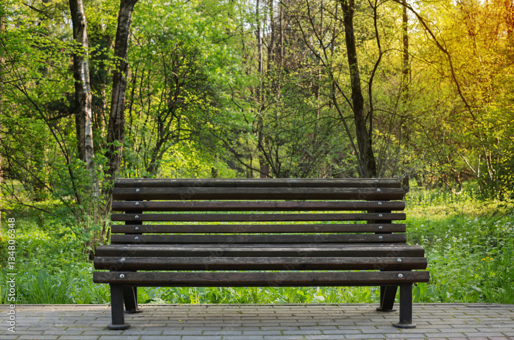 Fototapeta premium bench in spring park