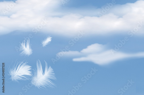 Feathers Floating Into Cloudy Sky