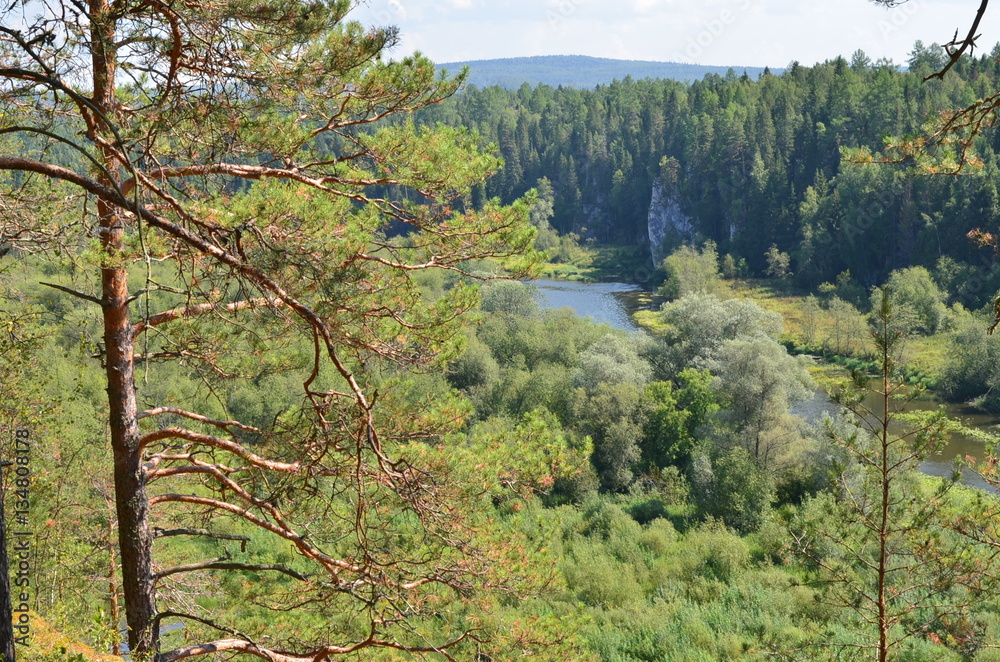 the view on the river and the forest