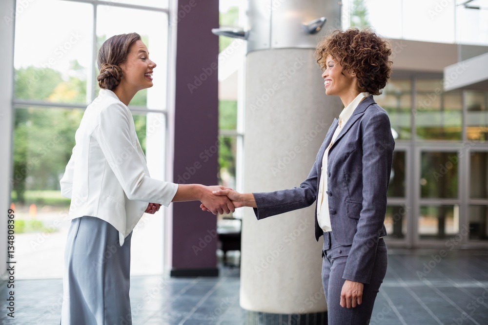 Business executives shaking hands with each other Business executives shaking hands with each other
