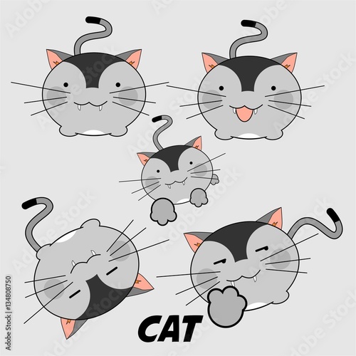 set cat logo