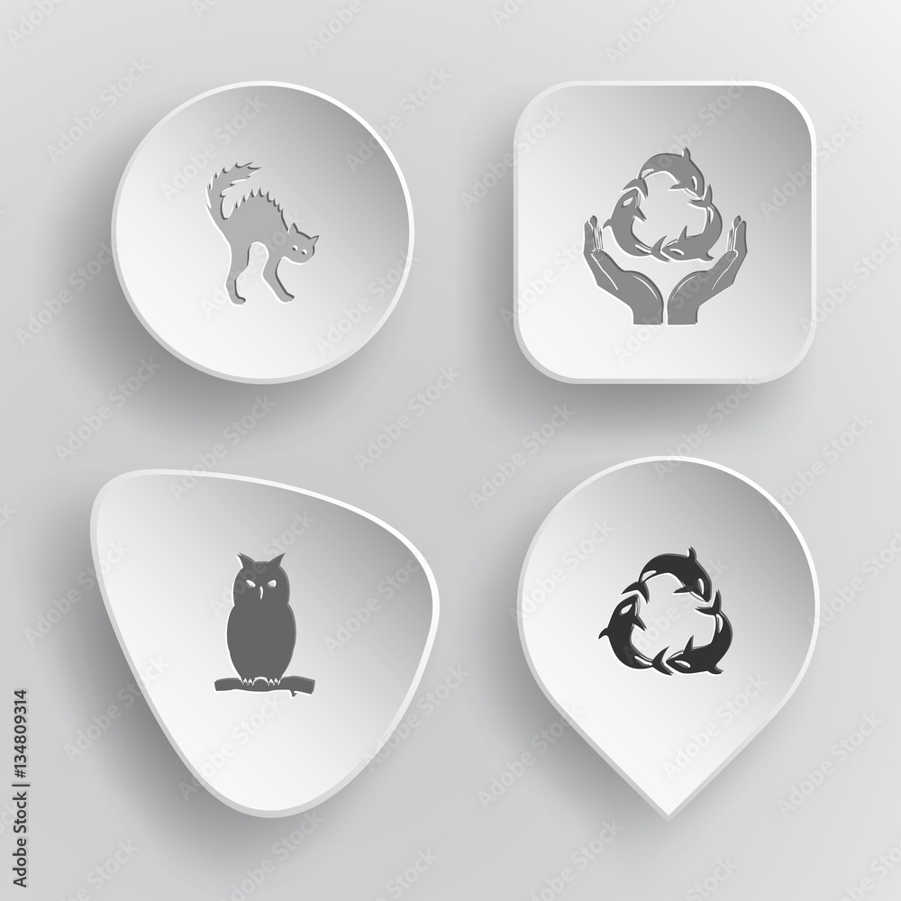 4 images: cat, protection sea life, owl, killer whale as recycli 4 images: cat, protection sea life, owl, killer whale as recycli