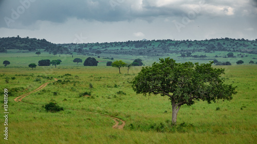 Kidepo national park landmark in Uganda