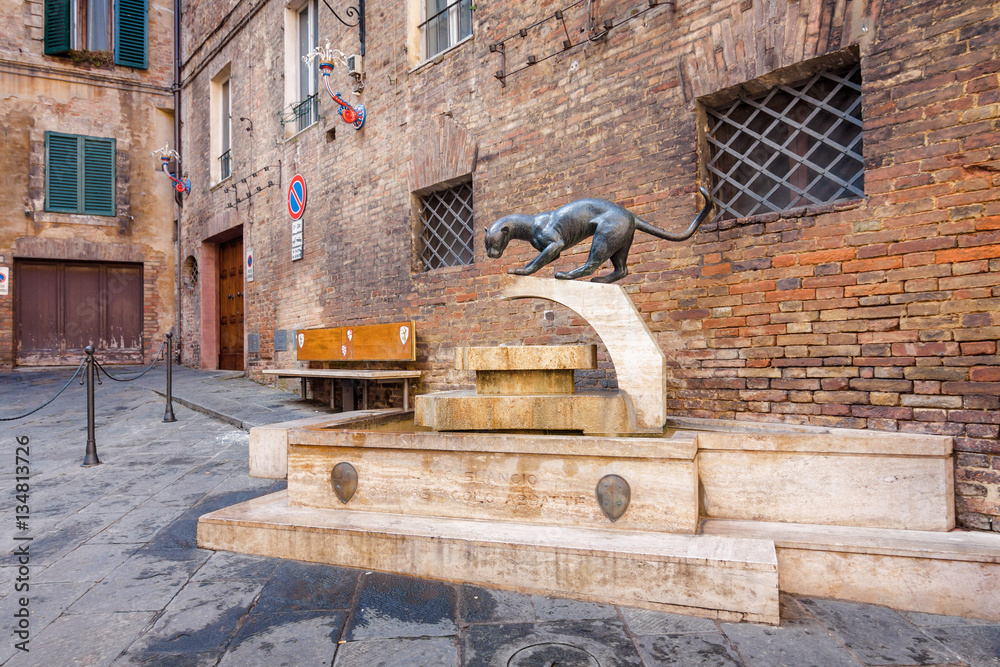 District of the panther in Siena,Toscana region, Italy. 