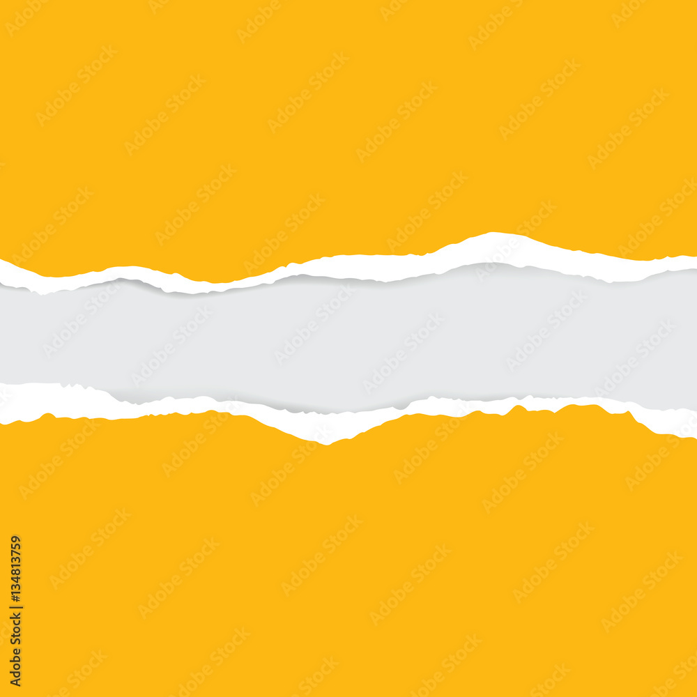 ripped paper and transparent background with space. ripped paper and transparent background with space.