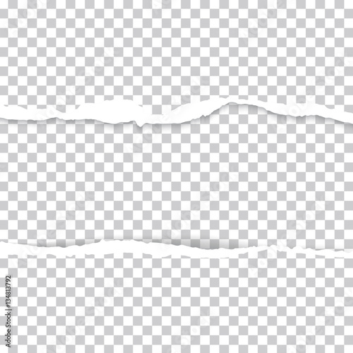 ripped paper and transparent background with space.