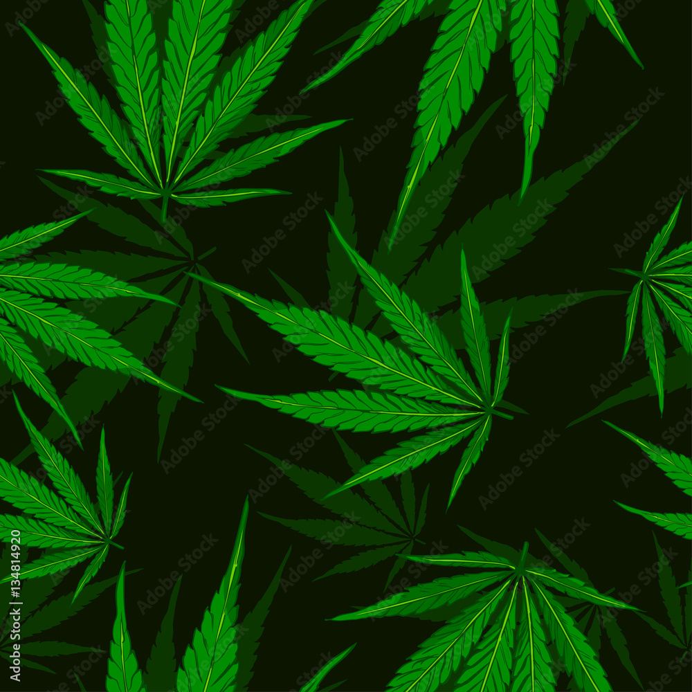 Cannabis leafs seamless vector pattern Cannabis leafs seamless vector pattern