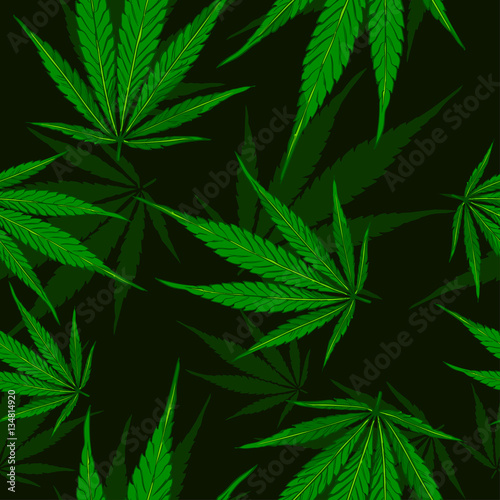 Cannabis leafs seamless vector pattern