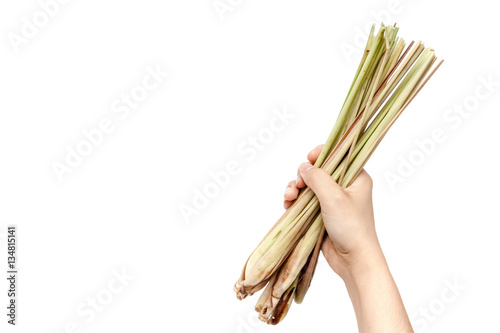 Hand holding lemon grass on white background isolated with copy