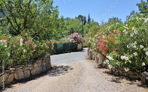 Entrance   exit to french house surrounded by oleander bushes and stone walls