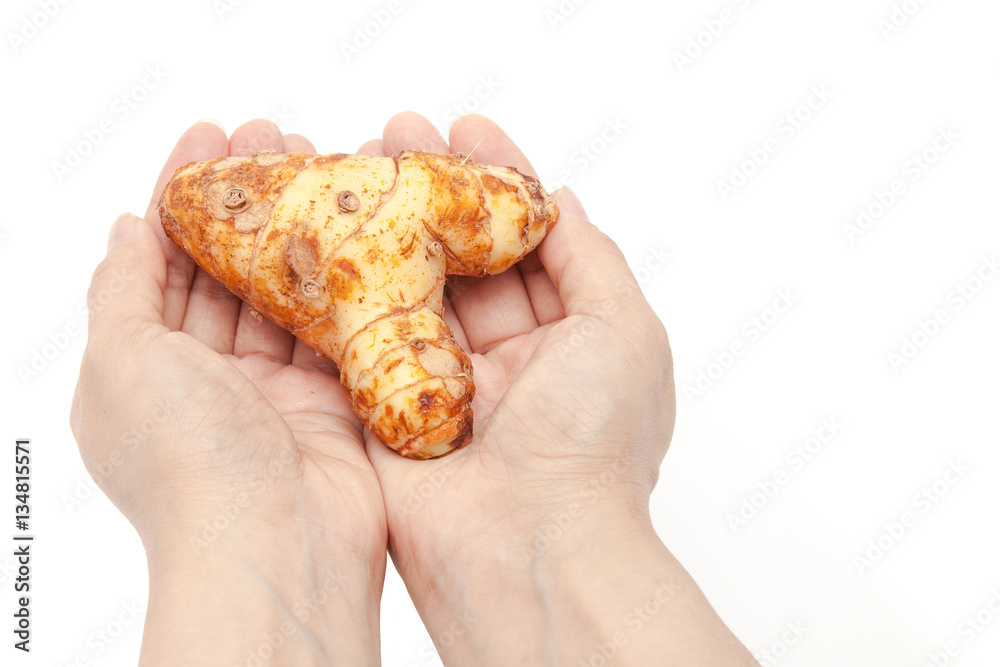 Galanga is holding by hands on white background isolated