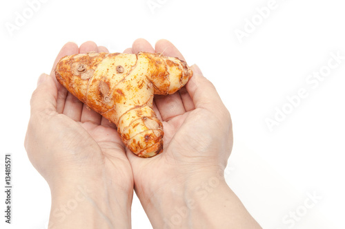 Galanga is holding by hands on white background isolated