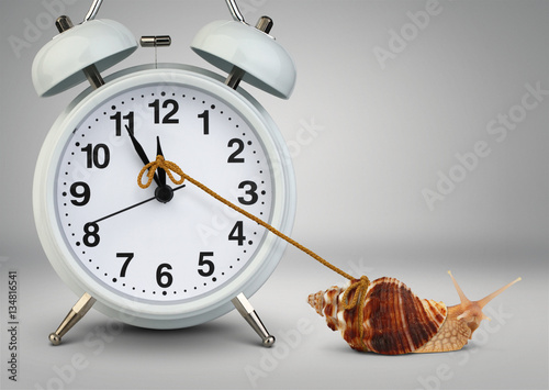 Snail pulling clock hand , time management concept photo