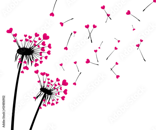 Valentine's background with love dandelions.
