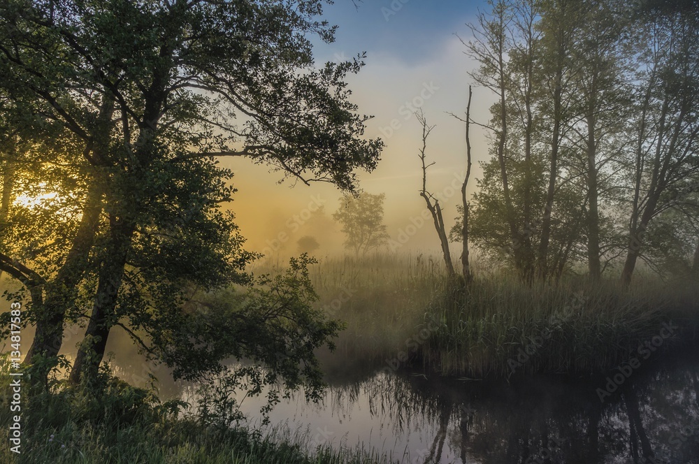 Beautiful misty dawn at the small river. Beautiful misty dawn at the small river.