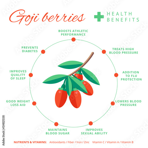 Goji berry health benefits and nutrition infographics. Superfood