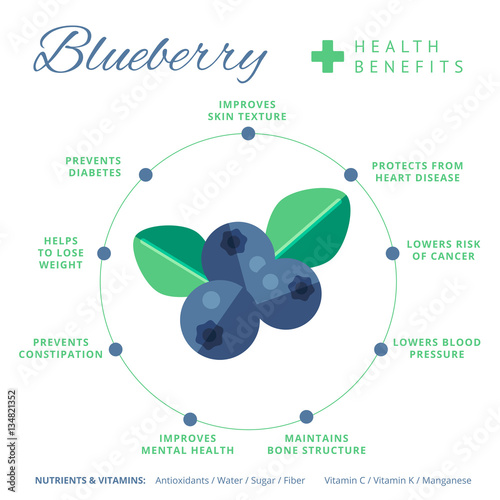 Blueberry health benefits and nutrition infographics. Superfood