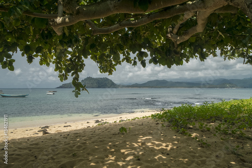Praia tropical de sao tome vista de baixo de uma arvore photo