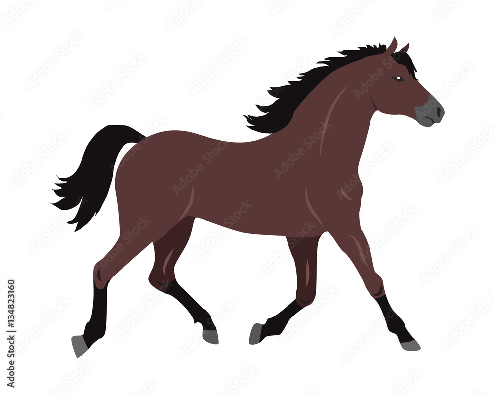 Obraz premium Horse Vector Illustration in Flat Design