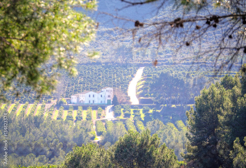 Fantastic sunny hills under morning sky. Dramatic scenery. Spain. Europe. Beauty world.