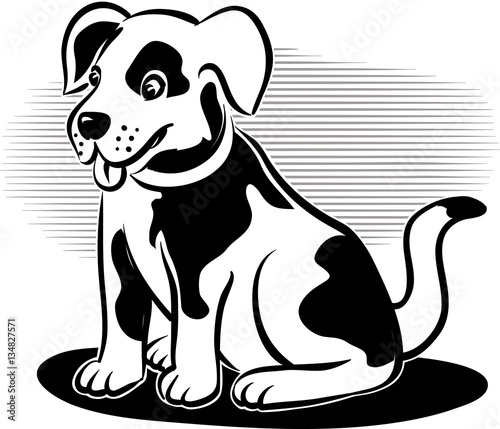 Cute little dog to pet.