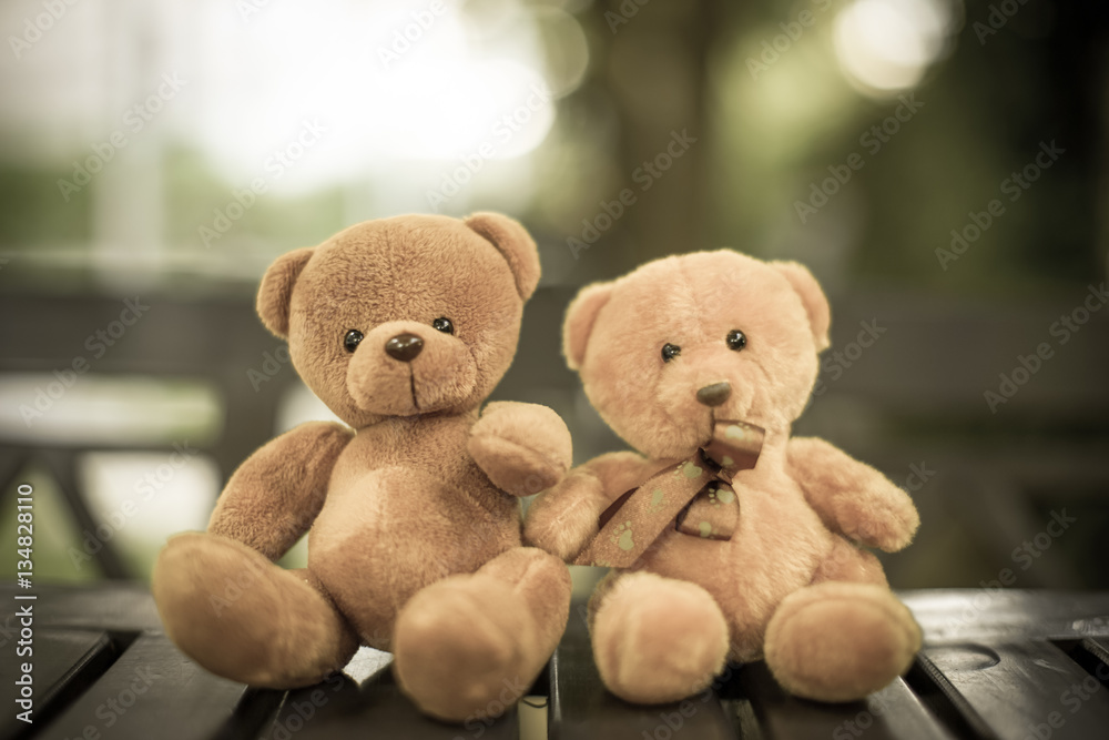 two bear dolls on the table with dramatic tone, select focus the one bigger two bear dolls on the table with dramatic tone, select focus the one bigger