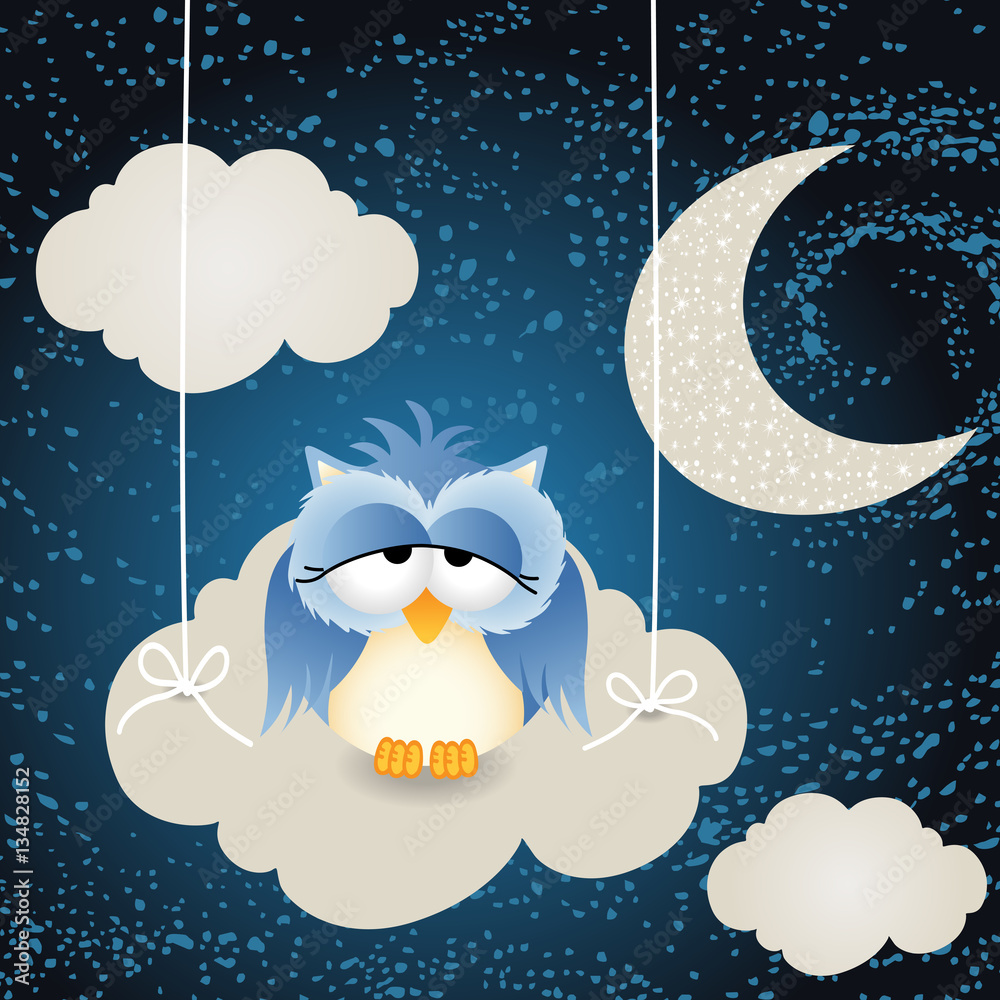 Fototapeta premium Owl on a night cloud sky background 