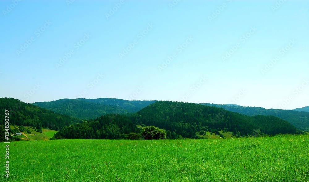 Fot. Konrad Filip Komarnicki / EAST NEWS Krynica - Zdroj 08.08.2014 Beskid Sadecki latem.