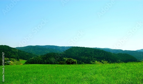 Fot. Konrad Filip Komarnicki / EAST NEWS Krynica - Zdroj 08.08.2014 Beskid Sadecki latem.